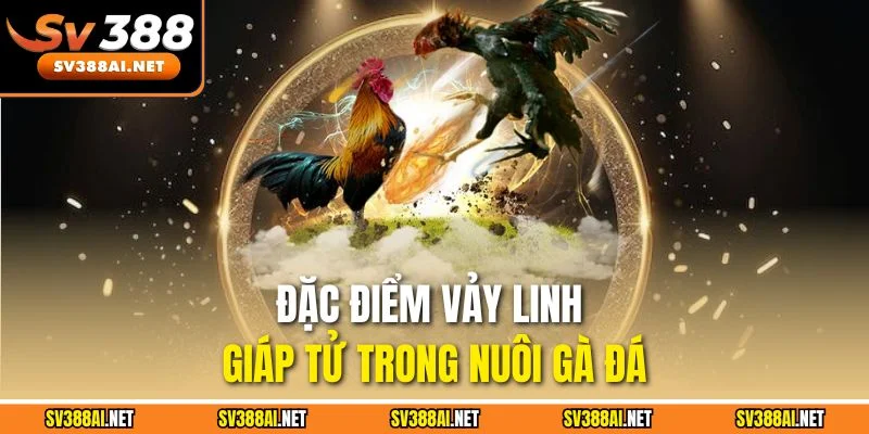 Đặc điểm vảy linh giáp tử trong nuôi gà đá Đặc điểm vảy linh giáp tử trong nuôi gà đá
