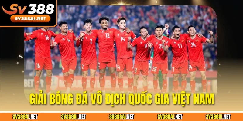 Thông Tin Chi Tiết Giải Bóng Đá Vô Địch Quốc Gia Việt Nam