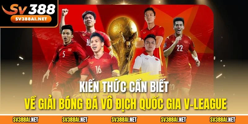Kiến thức cần biết về giải bóng đá vô địch quốc gia V-League