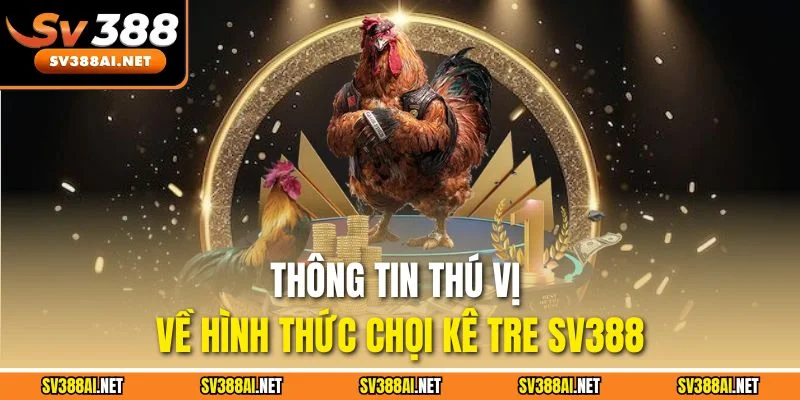 Thông tin thú vị về hình thức chọi kê tre SV388