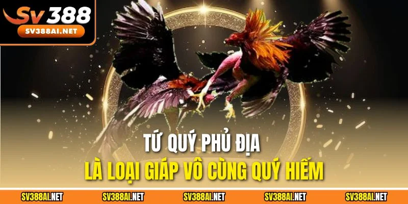 Tứ quý phủ địa là loại giáp vô cùng quý hiếm Tứ quý phủ địa là loại giáp vô cùng quý hiếm
